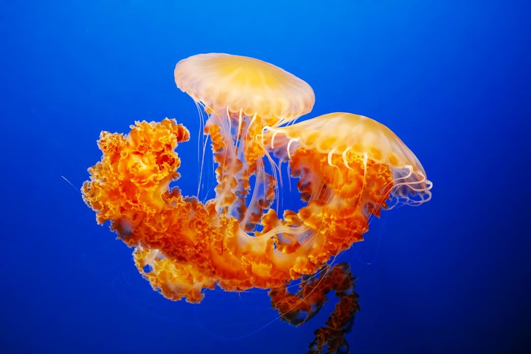https://img0.utuku.imgcdc.com/650x0/news/20250905/df0b4c1e-cd06-4647-8d3c-5a0d24fec66b.jpg